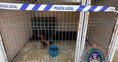 Rescatados dos gallos malheridos de un contenedor soterrado de Arahal